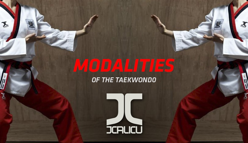 taekwondo modalities